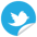 Click to Tweet icon Click to Tweet icon